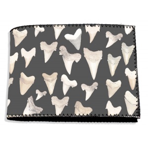 101-shark-tooth