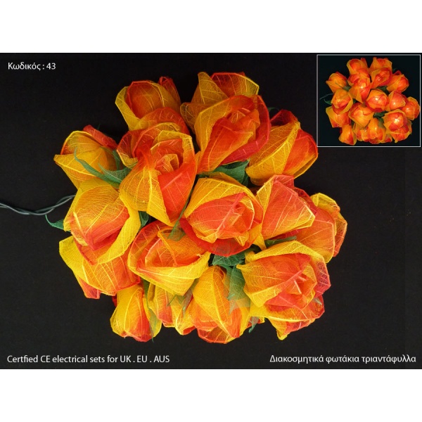 02-fotakia-triantafylla